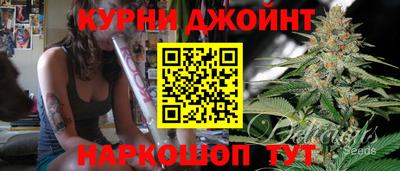 крисы Нальчик