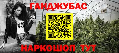 крисы Нальчик