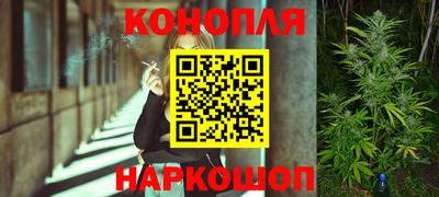 мдпв Можга