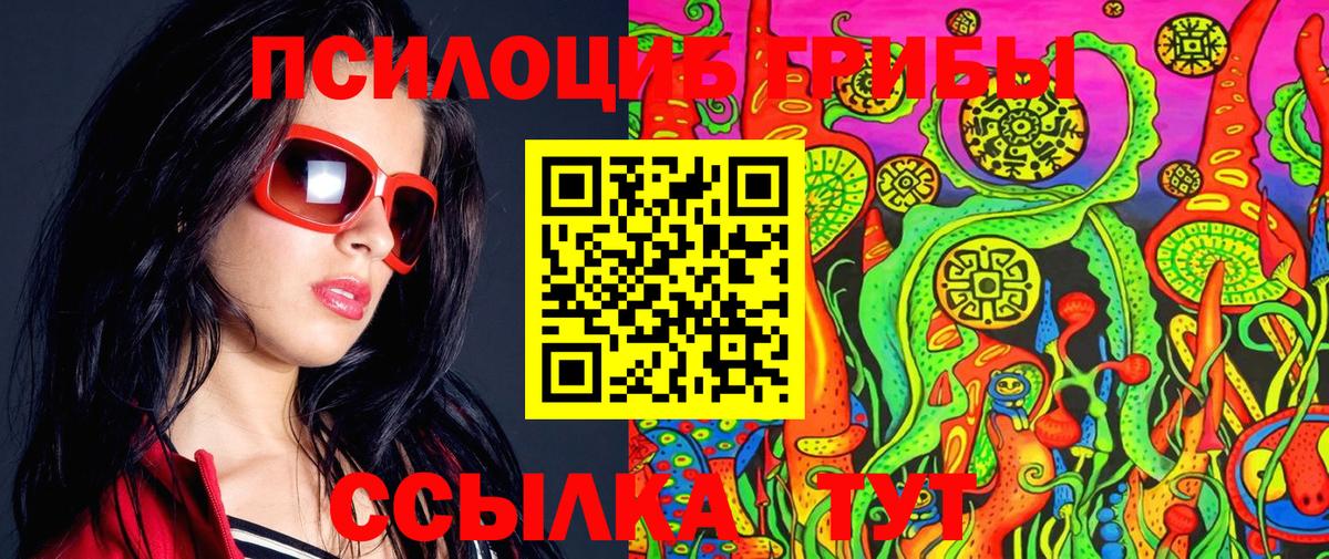 Псилоцибиновые грибы мицелий  Вход с VPN  Псилоцибиновые грибы ЛСД  наркотики  Чебоксары 